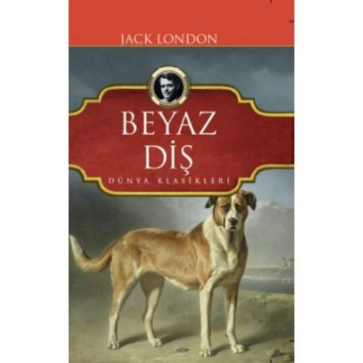 Beyaz Diş - Jack London